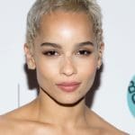 super-short-pixie-hair-zoe-kravitz18