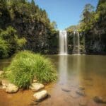 dangar-falls-in-the-rainforest-of-dorrigo-national