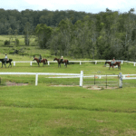 horse-riding-at-valery-trails