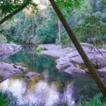 never-never-river-bellingen