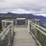 skywalk-at-dorrigo-national-park