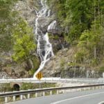 waterwall-way-scenic-drive-dorrigo-national-park