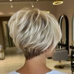 gorgeous-back-view-of-a-pixie-bob