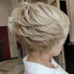 layered-pixie-bob