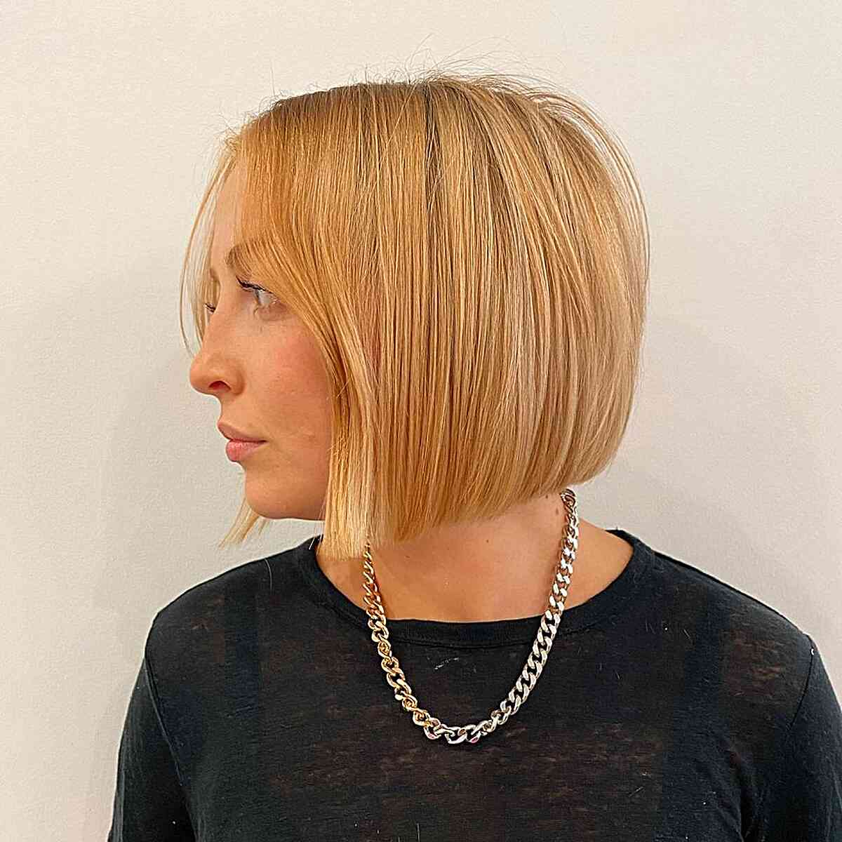 Chin-Length Blunt Bob Cut for Straight Fine Hair