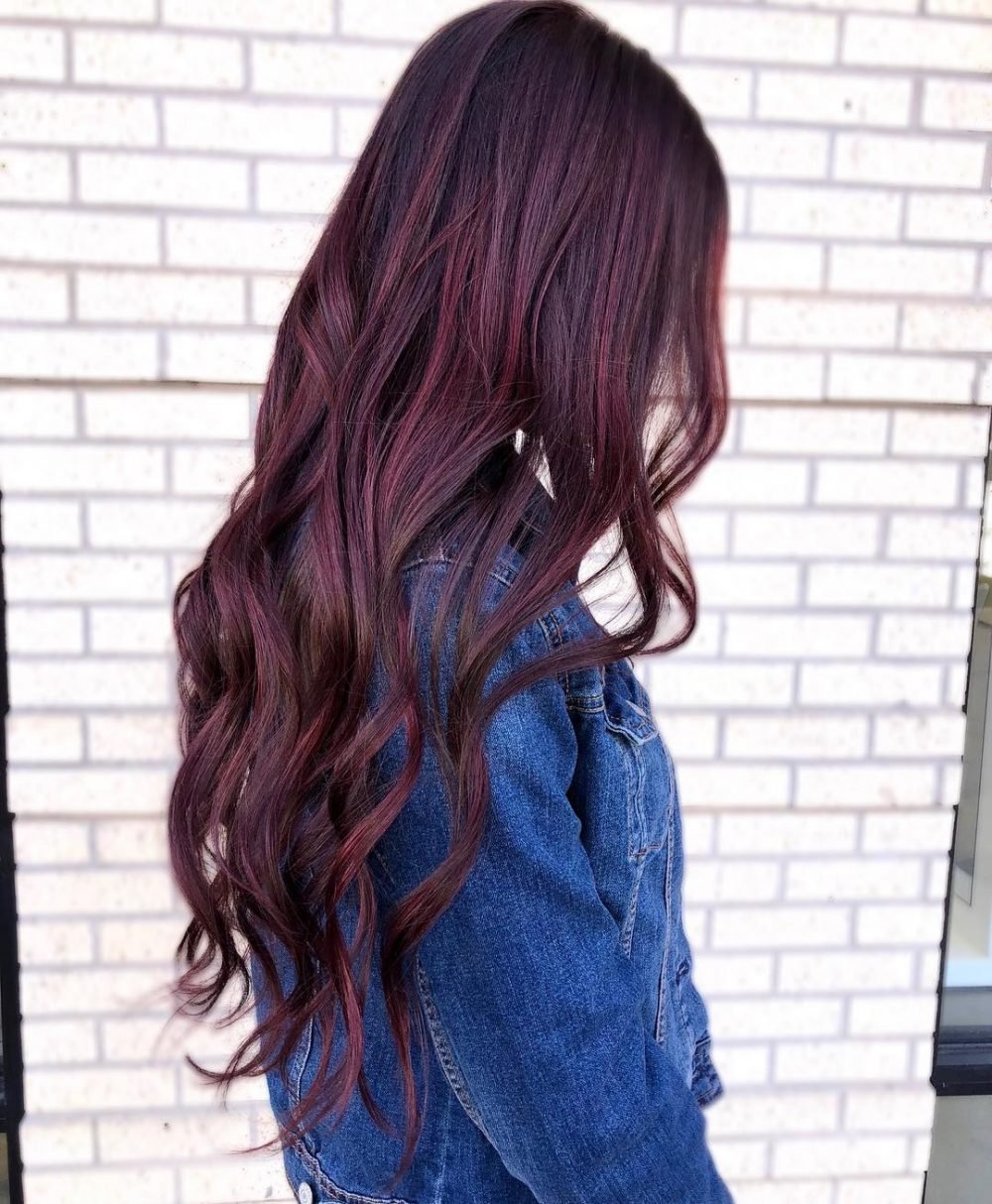 Burgundy Plum