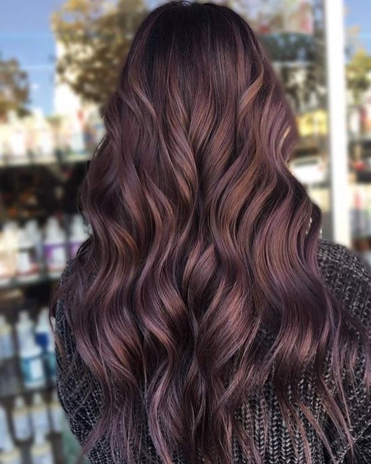 Chocolate Lilac with Dark Roots