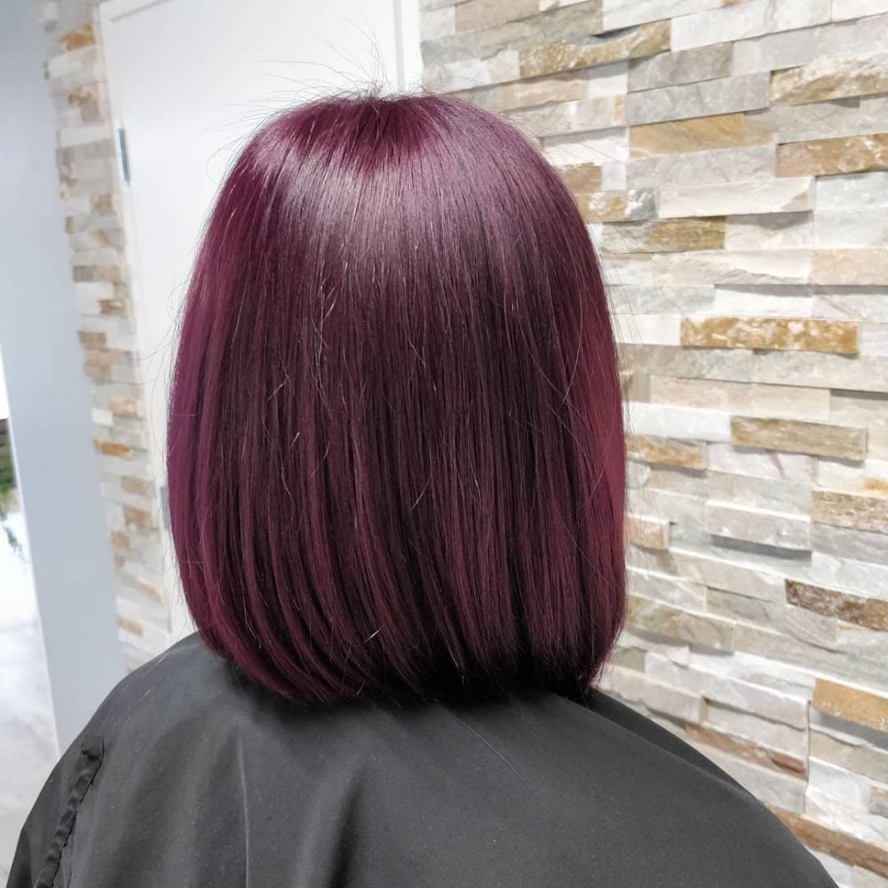 Cool Light Plum Hair Color