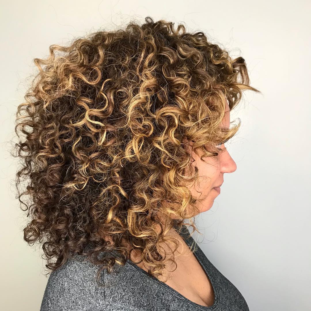 Curly Brown Hair with Golden Blonde Highlights