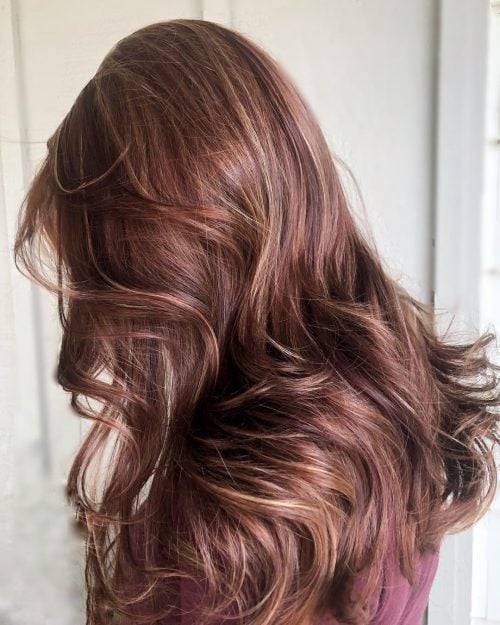 Dark Auburn Hair with Blonde Highlights