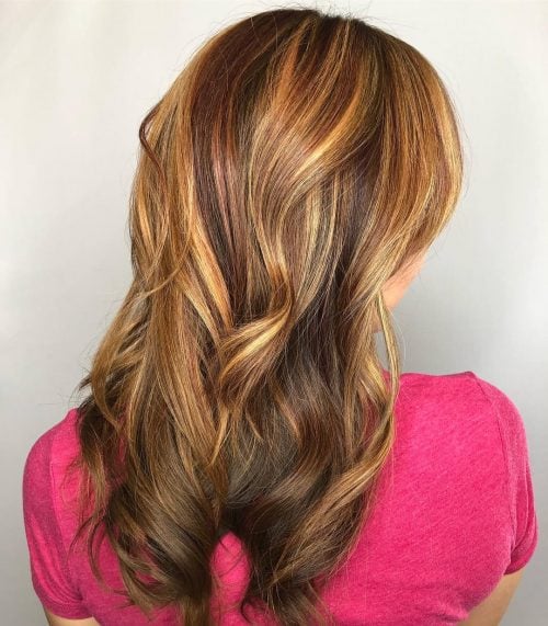 Mahogany Hair with Blonde Highlights