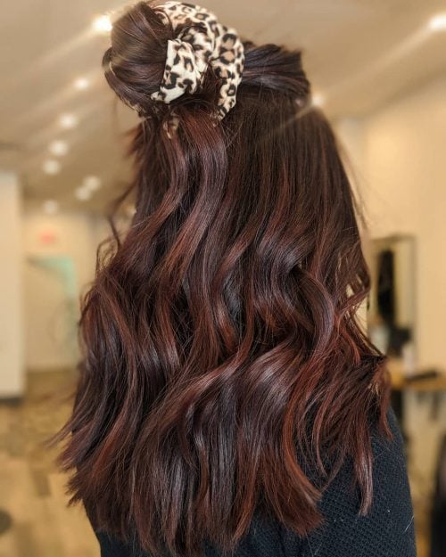 Rich Medium Brown and Dark Burgundy Hair