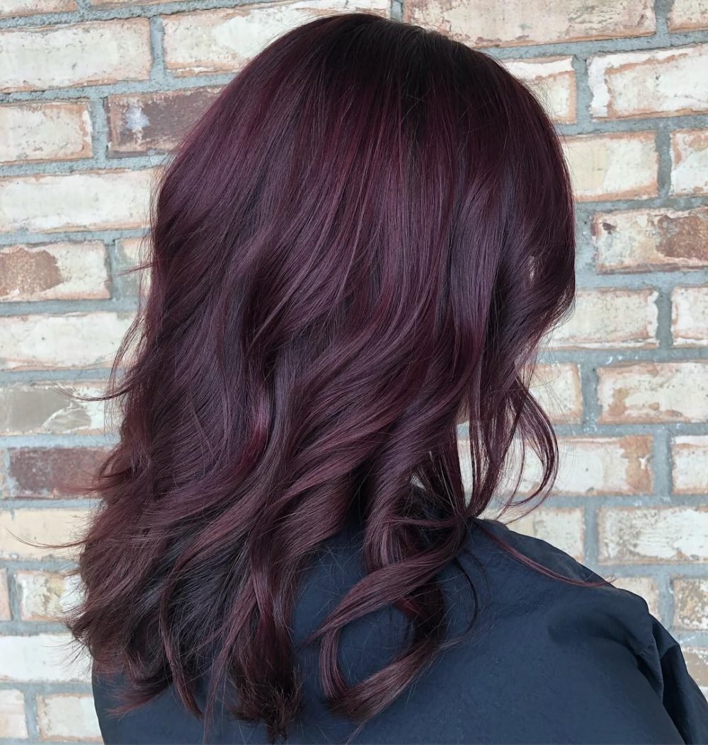 Sweet Plum Burgundy Hair Color